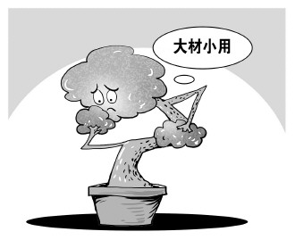 自認“大材小用”，不如腳踏實地