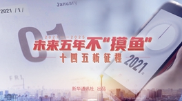 未來(lái)五年，不“摸魚”