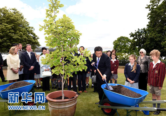 11月18日，國家主席習(xí)近平在澳大利亞塔斯馬尼亞州與朗塞斯頓市斯科奇－歐克伯恩小學(xué)的小學(xué)生共同植樹。新華社記者 饒愛民 攝