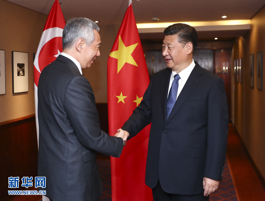 7月6日，國家主席習(xí)近平在漢堡會(huì)見新加坡總理李顯龍。 新華社記者謝環(huán)馳 攝