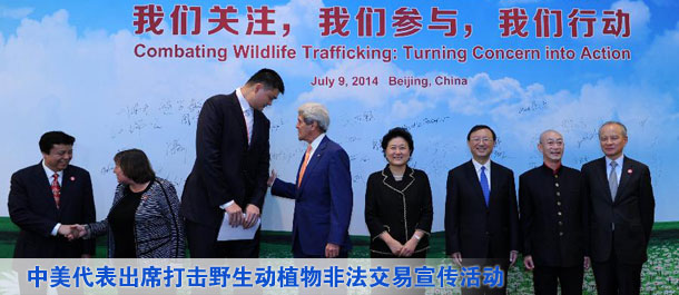 劉延?xùn)|、楊潔篪同美國國務(wù)卿克里共同出席中美打擊野生動植物非法交易宣傳活動（圖）